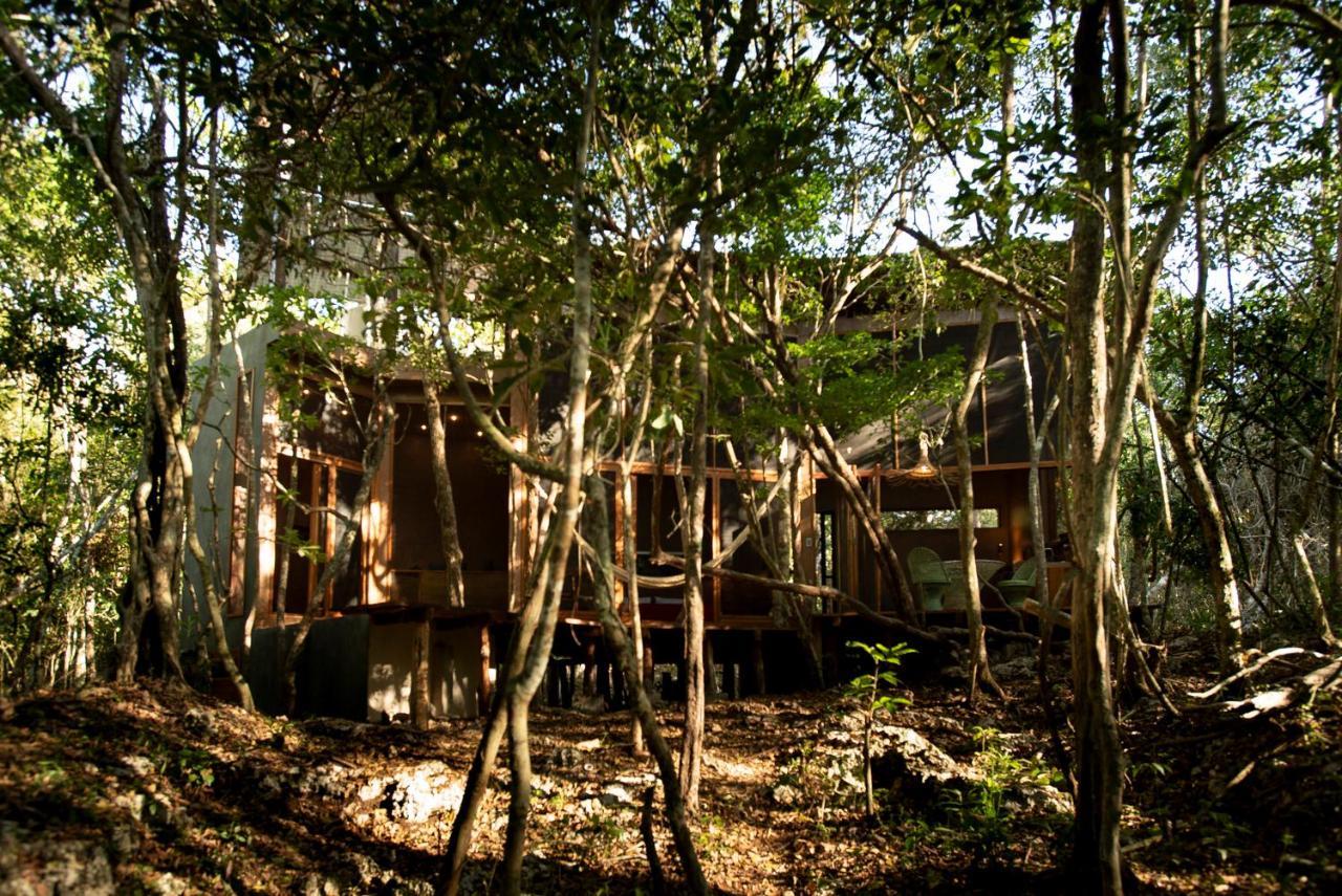 OJO DE ÁRBOL, boutique cabin in the jungle. Relax Tulum Exterior foto