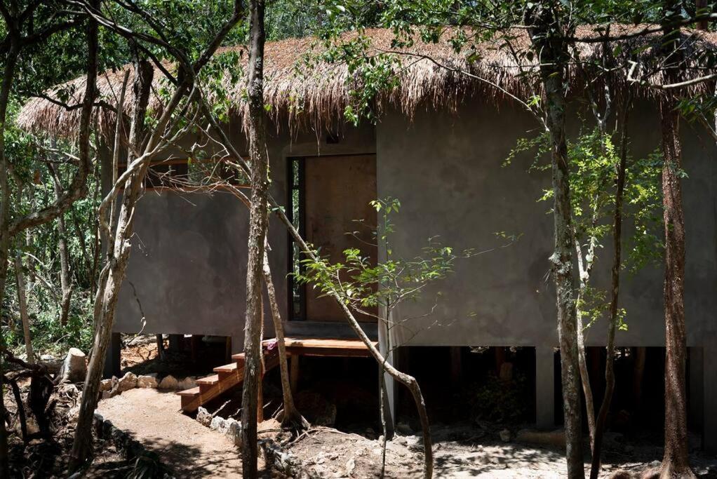 OJO DE ÁRBOL, boutique cabin in the jungle. Relax Tulum Exterior foto