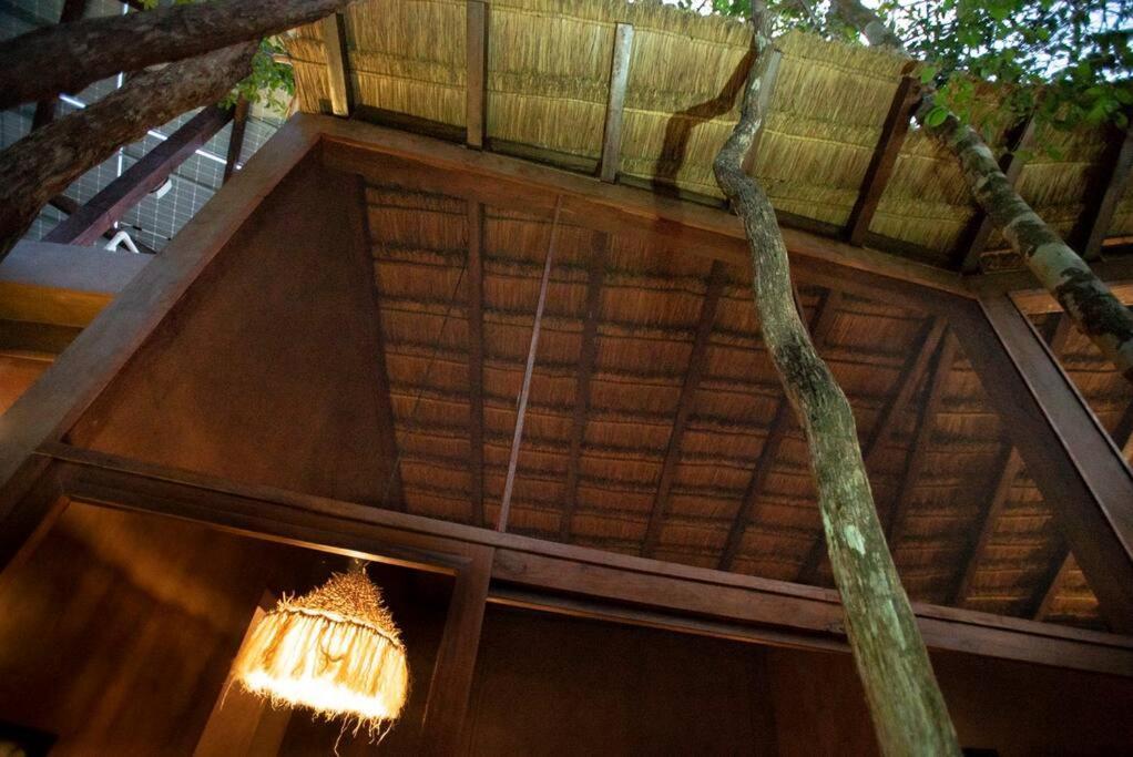 OJO DE ÁRBOL, boutique cabin in the jungle. Relax Tulum Exterior foto